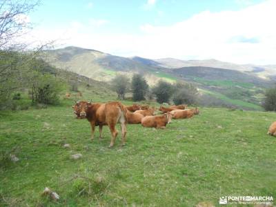 Parque Natural de Nansa y el Alto Besaya;noticias san sebastian de los reyes montes cárpatos mochila